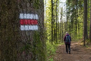 Genialita v plechovce aneb Proč je česká navigace nejlepší na světě i bez signálu - Médium.cz